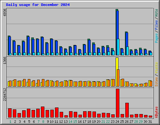 Daily usage for December 2024