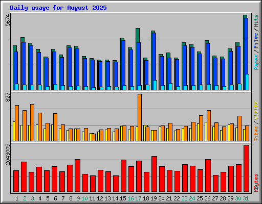 Daily usage for August 2025
