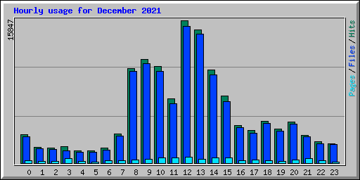 Hourly usage for December 2021