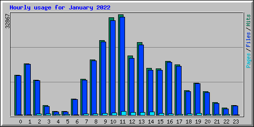 Hourly usage for January 2022