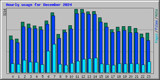Hourly usage for December 2024