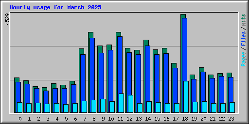 Hourly usage for March 2025