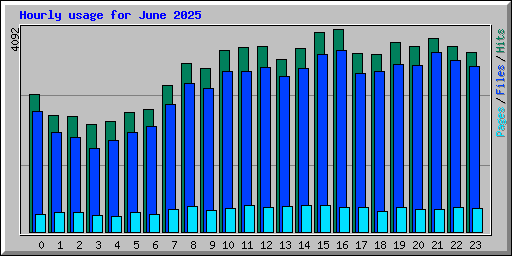 Hourly usage for June 2025