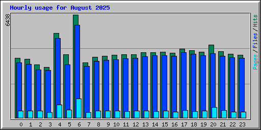 Hourly usage for August 2025