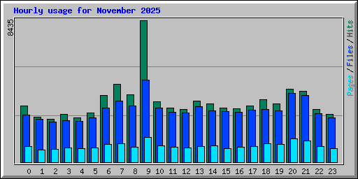 Hourly usage for November 2025