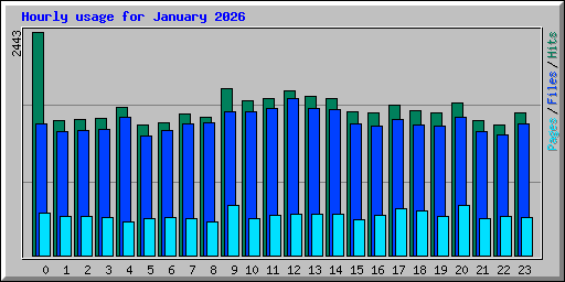 Hourly usage for January 2026